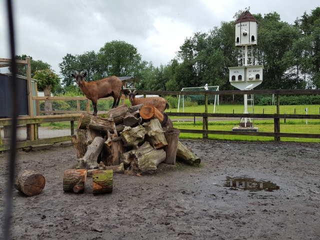 ../fotos/het_verlaat_2016/2016-07-01 11.02.12.jpg
